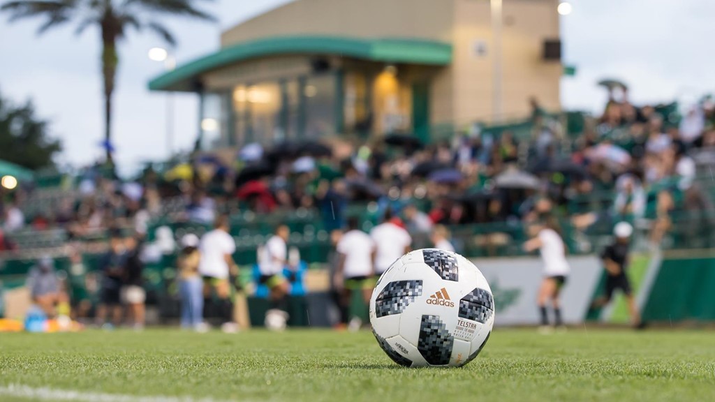 south-florida-usf